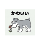シュナウザーの愛らしき日々2（個別スタンプ：10）