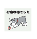 シュナウザーの愛らしき日々2（個別スタンプ：11）