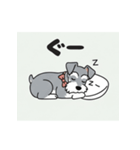 シュナウザーの愛らしき日々2（個別スタンプ：12）