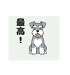 シュナウザーの愛らしき日々2（個別スタンプ：16）