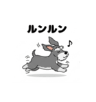 シュナウザーの愛らしき日々2（個別スタンプ：20）