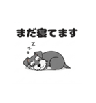 シュナウザーの愛らしき日々2（個別スタンプ：21）