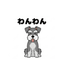 シュナウザーの愛らしき日々2（個別スタンプ：23）
