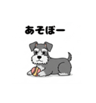 シュナウザーの愛らしき日々2（個別スタンプ：24）