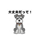 シュナウザーの愛らしき日々2（個別スタンプ：25）