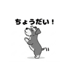 シュナウザーの愛らしき日々2（個別スタンプ：27）