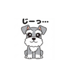 シュナウザーの愛らしき日々2（個別スタンプ：28）