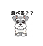 シュナウザーの愛らしき日々2（個別スタンプ：30）