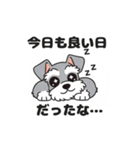 シュナウザーの愛らしき日々2（個別スタンプ：32）
