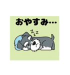 シュナウザーの愛らしき日々（個別スタンプ：2）
