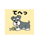 シュナウザーの愛らしき日々（個別スタンプ：3）