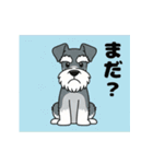 シュナウザーの愛らしき日々（個別スタンプ：4）