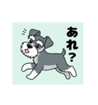 シュナウザーの愛らしき日々（個別スタンプ：5）