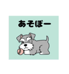 シュナウザーの愛らしき日々（個別スタンプ：13）