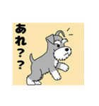 シュナウザーの愛らしき日々（個別スタンプ：14）