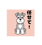 シュナウザーの愛らしき日々（個別スタンプ：16）