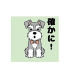 シュナウザーの愛らしき日々（個別スタンプ：17）