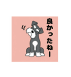 シュナウザーの愛らしき日々（個別スタンプ：19）