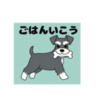シュナウザーの愛らしき日々（個別スタンプ：23）