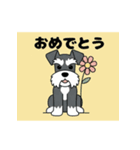 シュナウザーの愛らしき日々（個別スタンプ：25）