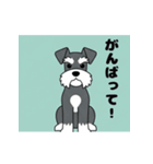 シュナウザーの愛らしき日々（個別スタンプ：27）