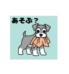 シュナウザーの愛らしき日々（個別スタンプ：28）