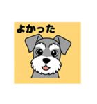 シュナウザーの愛らしき日々（個別スタンプ：29）