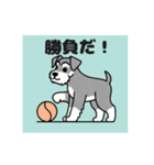 シュナウザーの愛らしき日々（個別スタンプ：31）
