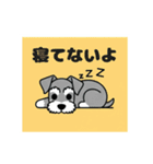 シュナウザーの愛らしき日々（個別スタンプ：32）