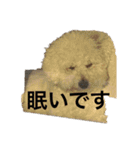 ぶらんちゃんすたんぷ（個別スタンプ：3）