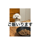 ぶらんちゃんすたんぷ（個別スタンプ：11）