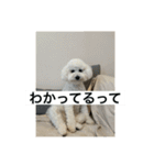 ぶらんちゃんすたんぷ（個別スタンプ：18）