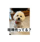 ぶらんちゃんすたんぷ（個別スタンプ：32）