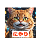 かわいい猫のいろんな表情スタンプ（個別スタンプ：1）