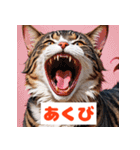 かわいい猫のいろんな表情スタンプ（個別スタンプ：5）