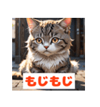 かわいい猫のいろんな表情スタンプ（個別スタンプ：11）