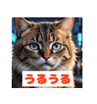 かわいい猫のいろんな表情スタンプ（個別スタンプ：13）