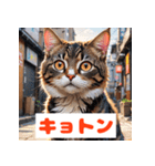 かわいい猫のいろんな表情スタンプ（個別スタンプ：17）