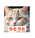 かわいい猫のいろんな表情スタンプ（個別スタンプ：19）