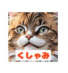 かわいい猫のいろんな表情スタンプ（個別スタンプ：23）