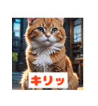かわいい猫のいろんな表情スタンプ（個別スタンプ：24）
