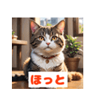 かわいい猫のいろんな表情スタンプ（個別スタンプ：27）