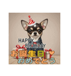 かわいい動物のお誕生日メッセージ（個別スタンプ：8）