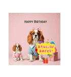 かわいい動物のお誕生日メッセージ（個別スタンプ：26）