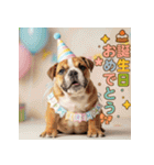 かわいい動物のお誕生日メッセージ（個別スタンプ：31）