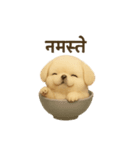 otyawanwan japanese dog HINDI（個別スタンプ：1）