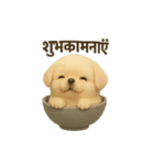 otyawanwan japanese dog HINDI（個別スタンプ：7）