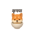 otyawanwan japanese dog HINDI（個別スタンプ：27）