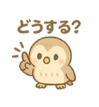 ふくろうのふくたくん（個別スタンプ：20）