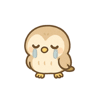 ふくろうのふくたくん（個別スタンプ：39）